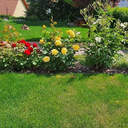 In - Balaton 18580 * Fonyód