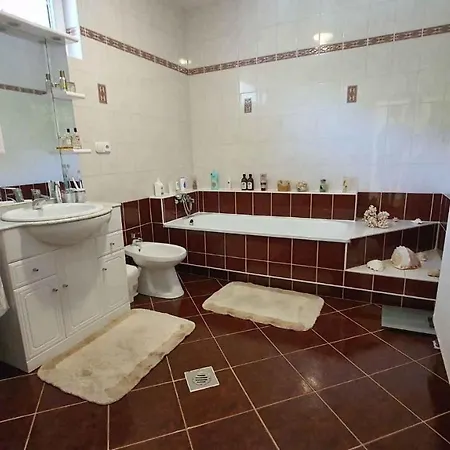 In - Balaton 18580 * Fonyód