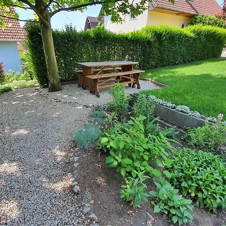 In - Balaton 18580 * Fonyód