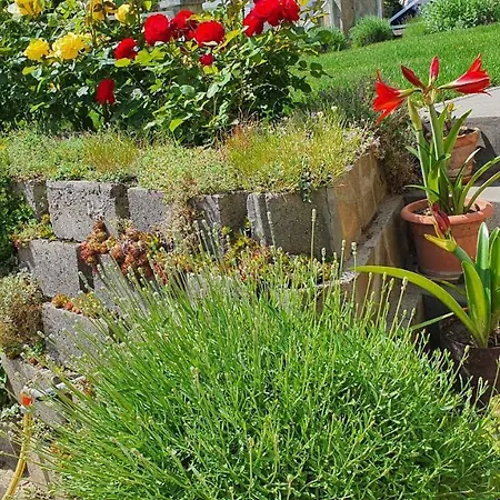 In - Balaton 18580 Fonyód