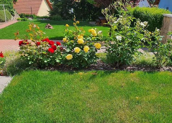 In - Balaton 18580 * Fonyód