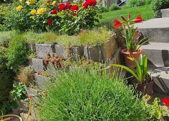 In - Balaton 18580 Fonyód